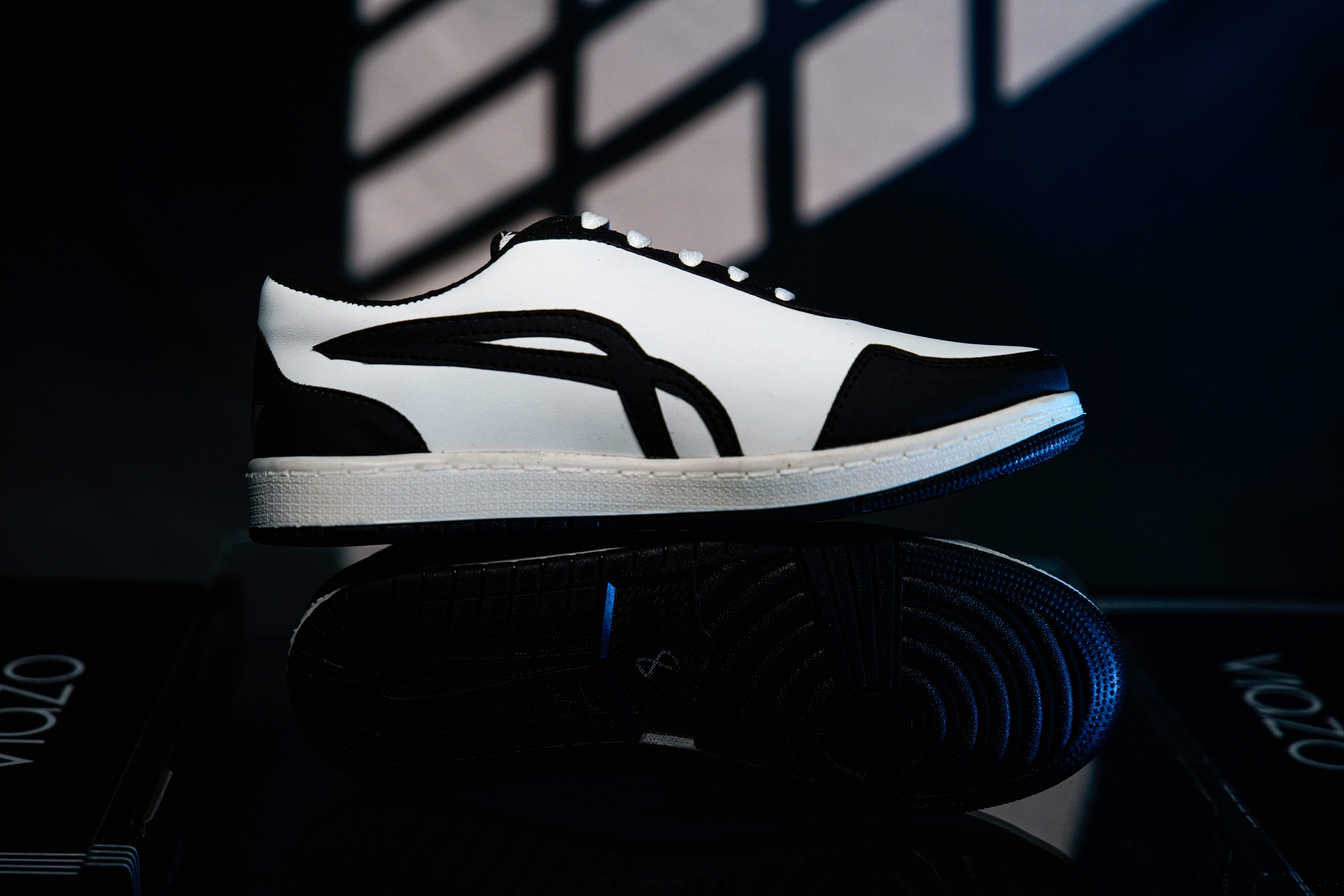 Shoe
